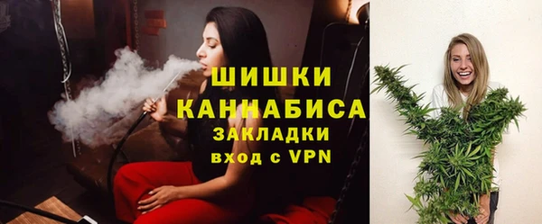 мдпв Киреевск