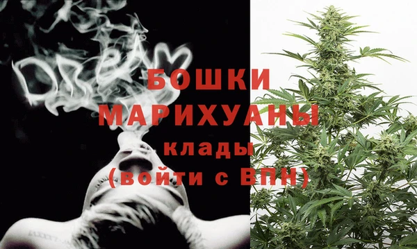 мдпв Киреевск