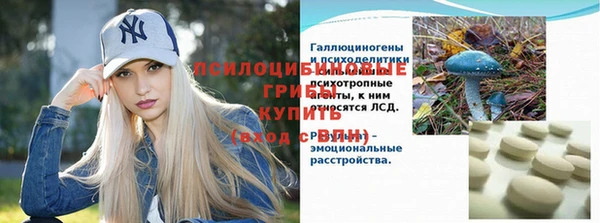 мдпв Киреевск