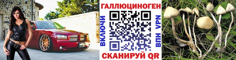 Псилоцибиновые грибы мухоморы  Купить  Кубинка 